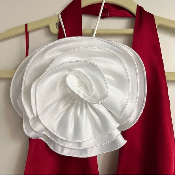 GRAYSON GOWN CHIANTI SIZE 0 THE BAR - Picture 5 of 10